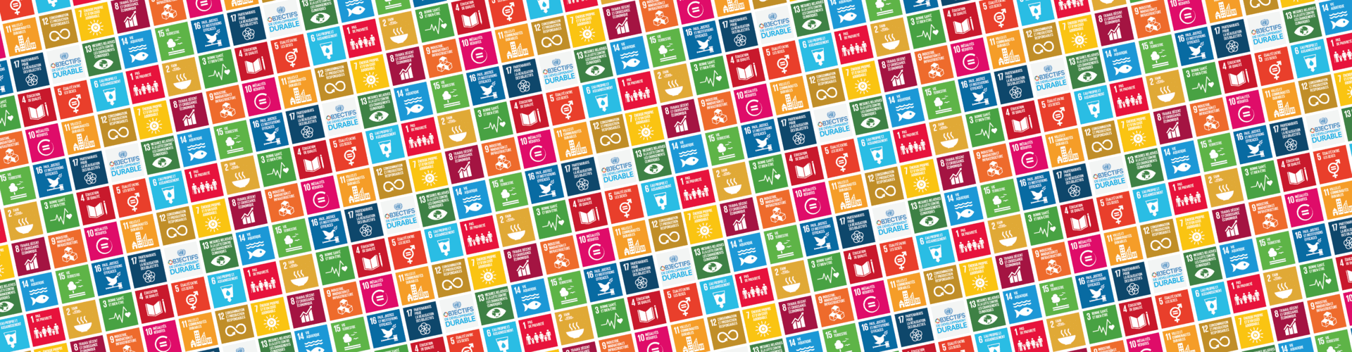 Bannière des 17 Objectifs de développement durable du Pacte mondial des Nations Unies