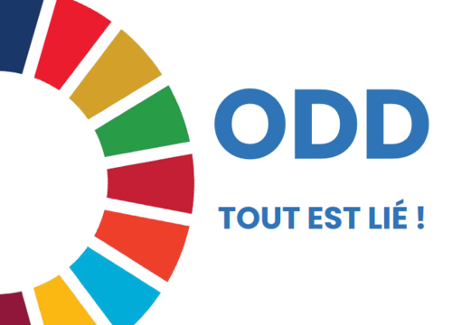 Cercle 17 ODD roue des objectifs de développement durable